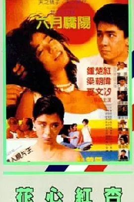 四虎影片国产精品8848