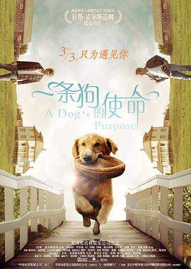 91自拍区