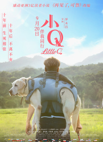 精品一区二区三区在线成人