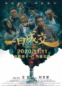 国内精品视频成人一区二区