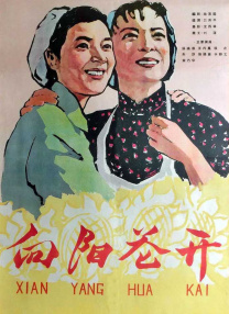 视频免费观看一区二区